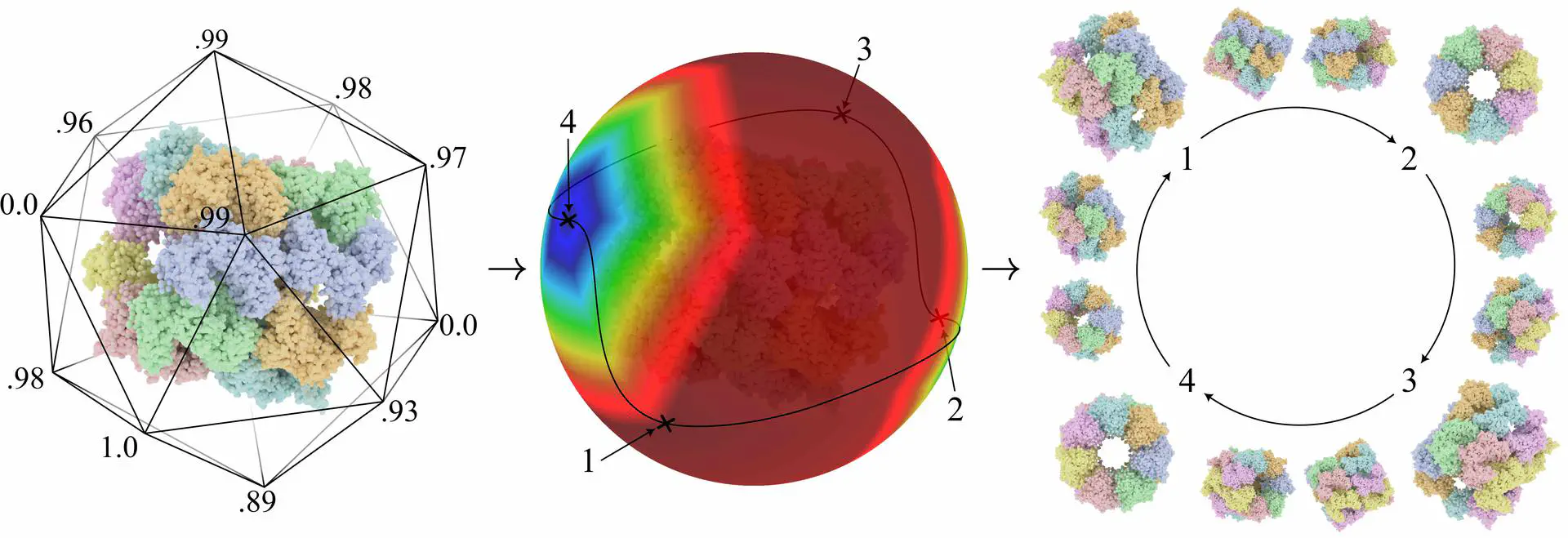 Viewpoint selection for molecular visualization: analysis and applications